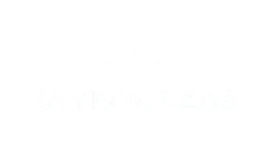 SkyBox Labs game development studio logo